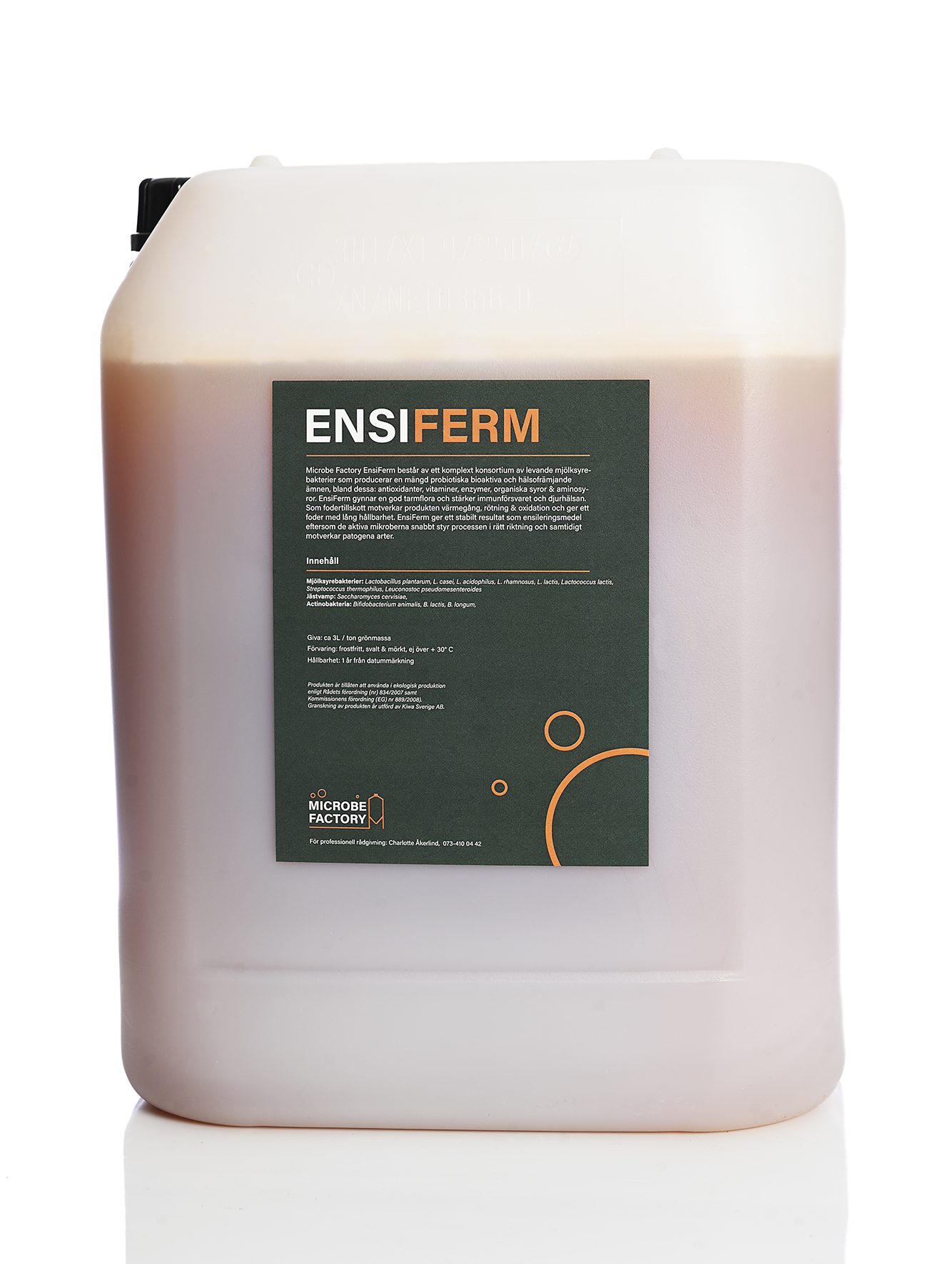 Ensiferm Ensiferm
