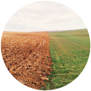 farmland-meadow-field-801817_2_circular_600